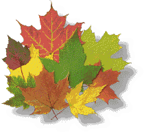 Autumn in the Alleghenies (or a pile of leaves)